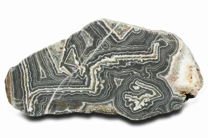 Polished Wyloo Agate Section - Australia #353691